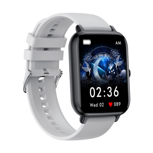 Reloj color gris